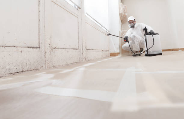 24/7 Emergency Crawl Space Mold Remediation experts in Broad Run, VA
