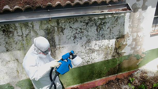 Top rated local Crawl Space Mold Remediation specialists in Broad Run, VA
